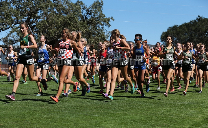 2015SIxcHSD2-110.JPG - 2015 Stanford Cross Country Invitational, September 26, Stanford Golf Course, Stanford, California.